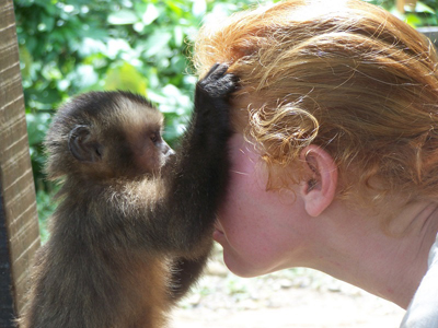 Bolivia Animal Sanctuary Project